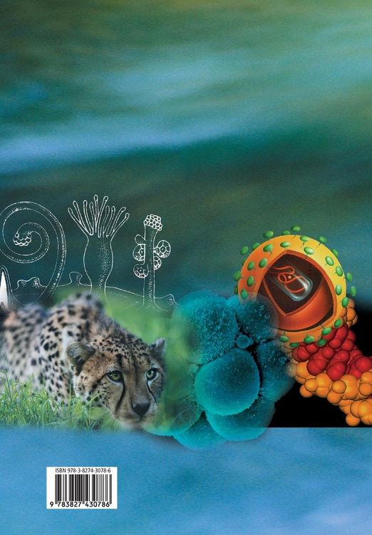 Produktbild: Kompaktlexikon der Biologie - Band 3