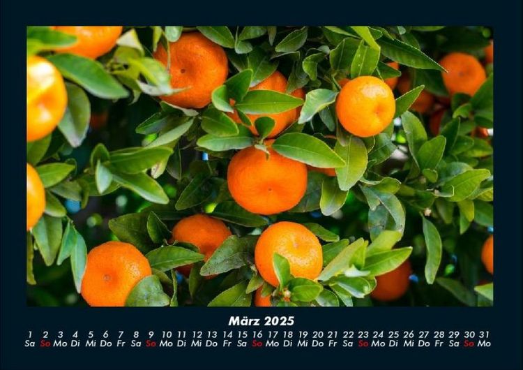 Produktbild: Obstkalender 2025 Fotokalender DIN A4