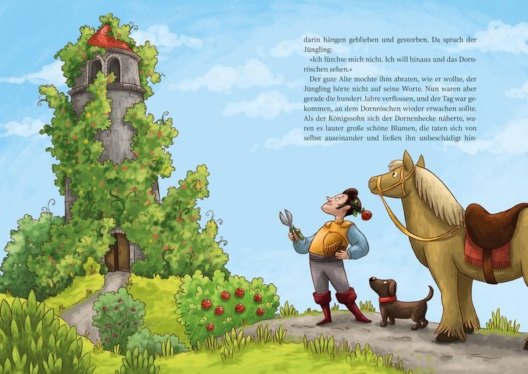 Produktbild: Die sch&ouml;nsten M&auml;rchen der Br&uuml;der Grimm