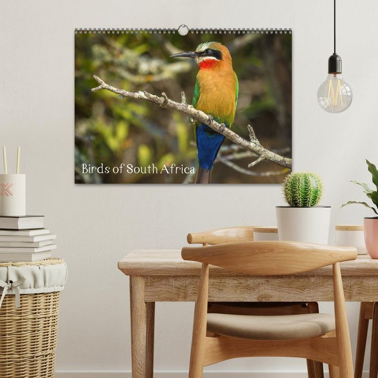 Produktbild: Birds of South Africa (Wall Calendar 2026 DIN A3 landscape), CALVENDO 12 Month Wall Calendar