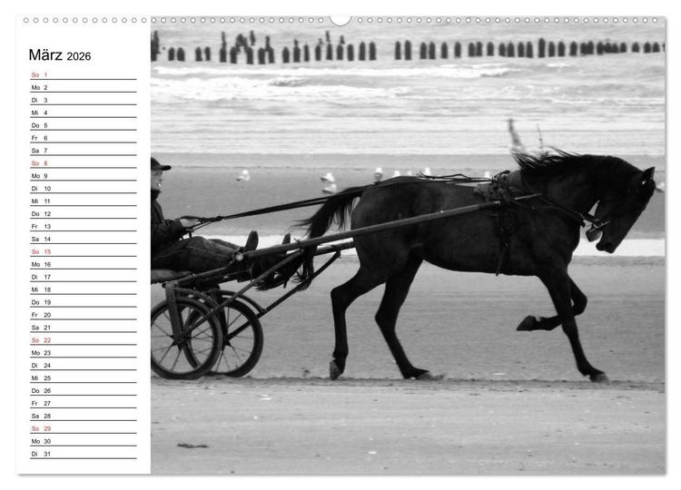 Produktbild: Leidenschaft Pferdesport - Impressionen (hochwertiger Premium Wandkalender 2026 DIN A2 quer), Kunstdruck in Hochglanz