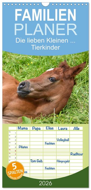 Produktbild: Familienplaner 2026 - Die lieben Kleinen ... Tierkinder einfach zum Knuddeln mit 5 Spalten (Wandkalender, 21 x 45 cm) CALVENDO