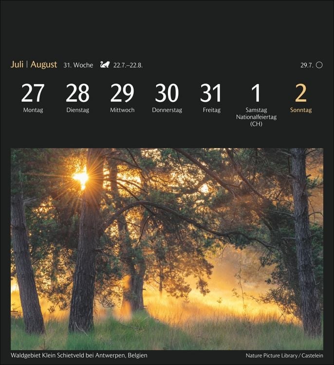 Produktbild: Magic Nature Postkartenkalender Kalender 2026 - Kalender mit 53 Postkarten