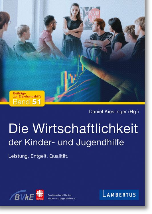 Produktbild: Die Wirtschaftlichkeit der Kinder- und Jugendhilfe