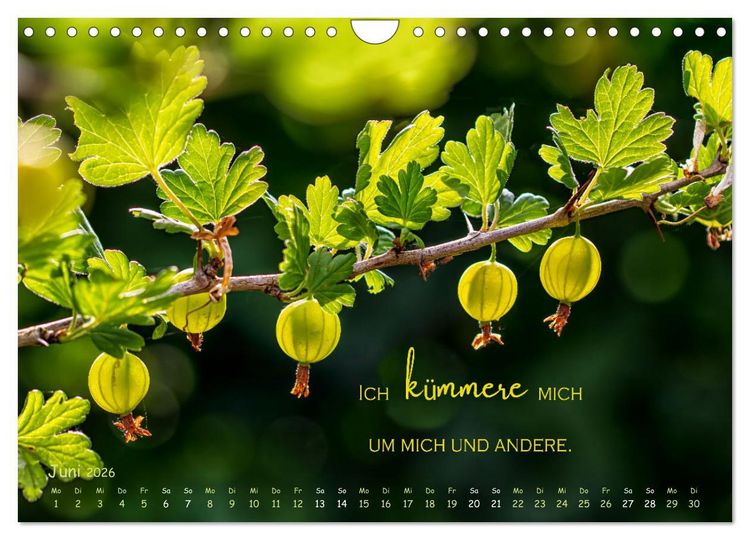 Produktbild: Weibliche Kraft - 12 Impulse zu deiner Wirksamkeit als Frau (Wandkalender 2026 DIN A4 quer), CALVENDO Monatskalender