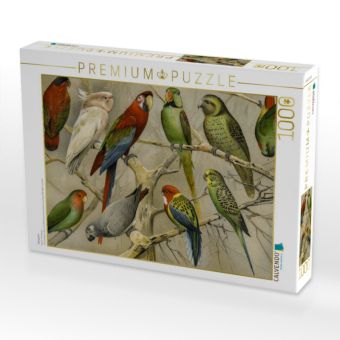 Produktbild: CALVENDO Puzzle Papageien | 1000 Teile Lege-Gr&ouml;&szlig;e 64x48cm Foto-Puzzle f&uuml;r gl&uuml;ckliche Stunden