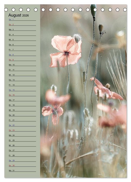 Produktbild: Pastell-Zauber (Tischkalender 2026 DIN A5 hoch), CALVENDO Monatskalender