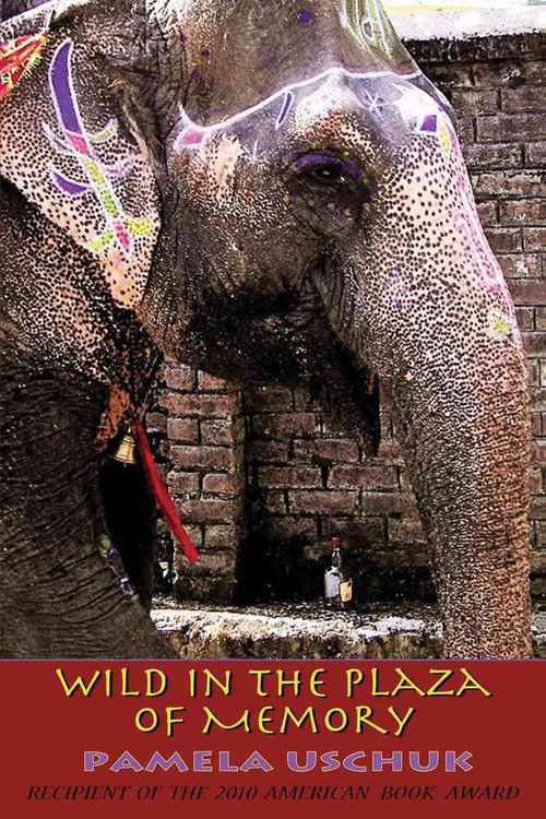 Produktbild: Wild in the Plaza of Memory