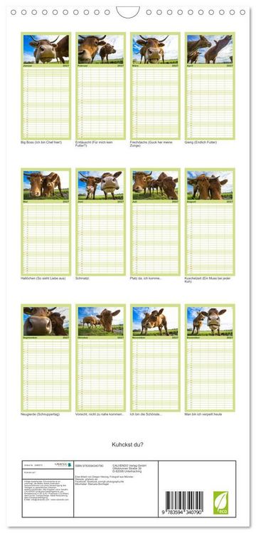 Produktbild: Familienplaner 2027 - Kuhckst du? mit 5 Spalten (Wandkalender, 21 x 45 cm) CALVENDO
