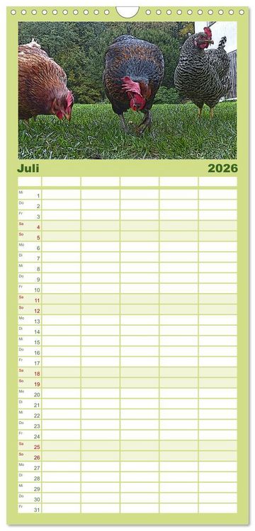Produktbild: Familienplaner 2026 - Die H&uuml;hner sind los! mit 5 Spalten (Wandkalender, 21 x 45 cm) CALVENDO