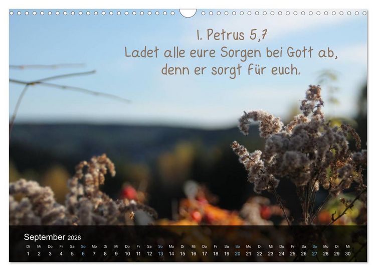 Produktbild: Sch&ouml;pfung im Licht (Wandkalender 2026 DIN A3 quer), CALVENDO Monatskalender