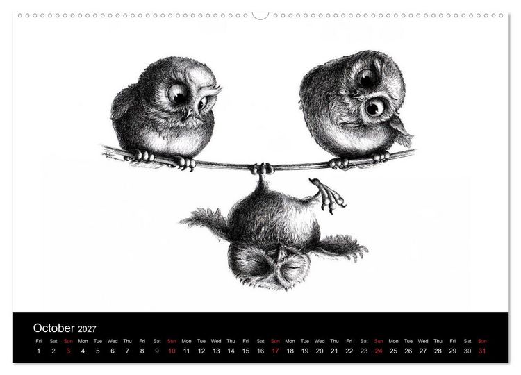 Produktbild: owls & friends 2027 (High Quality Premium Wall Calendar 2027 DIN A2 landscape),CALVENDO 12 Month Wall Calendar