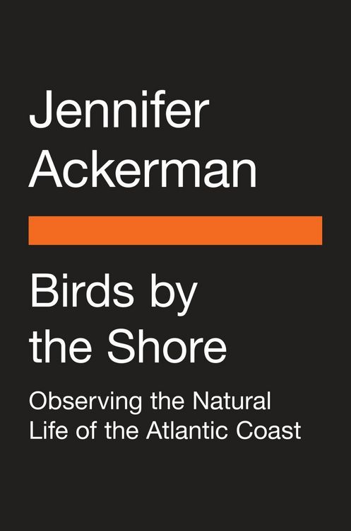 Produktbild: Birds by the Shore