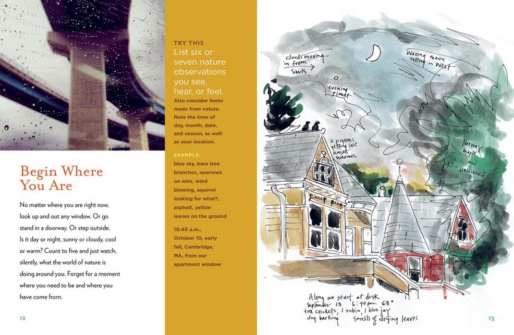 Produktbild: The Curious Nature Guide
