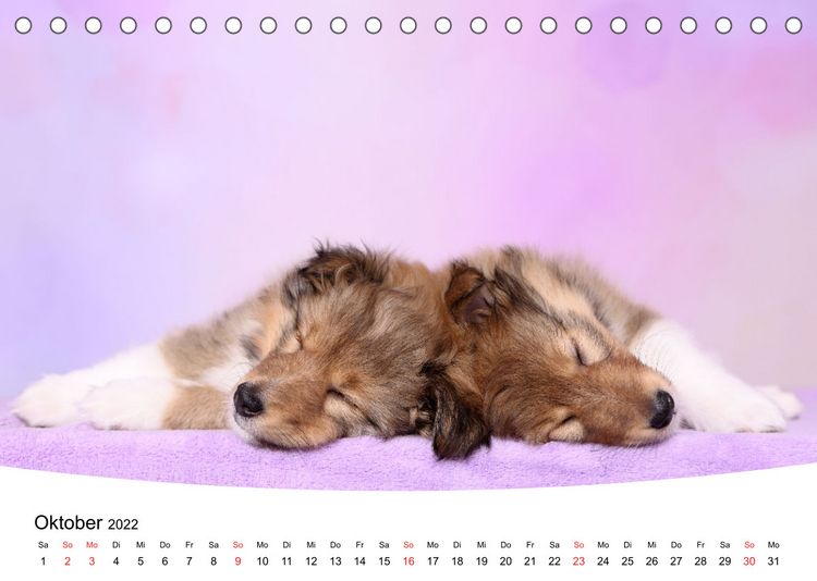 Produktbild: S&uuml;&szlig;e Tr&auml;ume 2022 - schlafende Hundewelpen (Tischkalender 2022 DIN A5 quer)