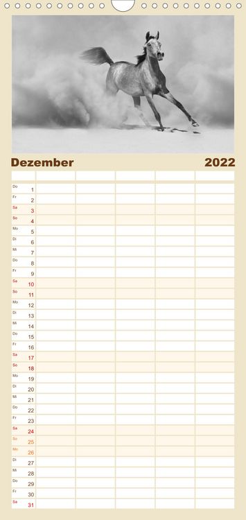 Produktbild: Familienplaner Arabische Pferde (Wandkalender 2022 , 21 cm x 45 cm, hoch)