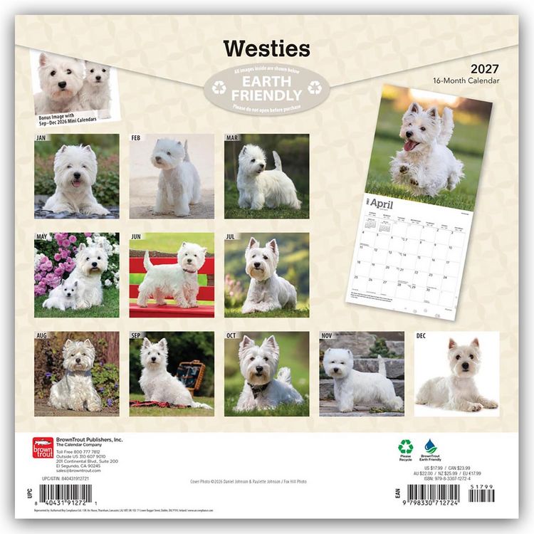 Produktbild: West Highland White Terriers &ndash; Westhighland White Terrier &ndash; Westies 2027 &ndash; 16-Monatskalender