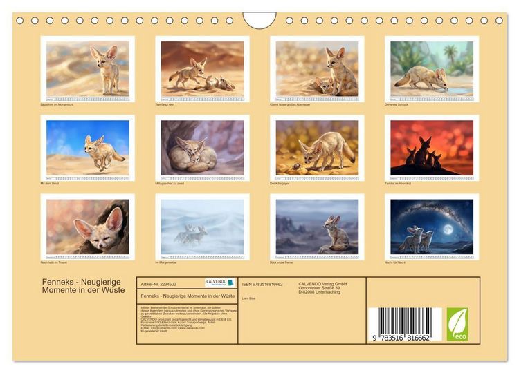 Produktbild: Fenneks - Neugierige Momente in der W&uuml;ste (Wandkalender 2027 DIN A4 quer), CALVENDO Monatskalender