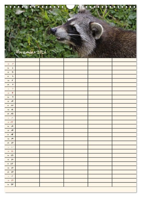 Produktbild: Waschb&auml;ren Familienplaner (Wandkalender 2026 DIN A3 hoch), CALVENDO Monatskalender