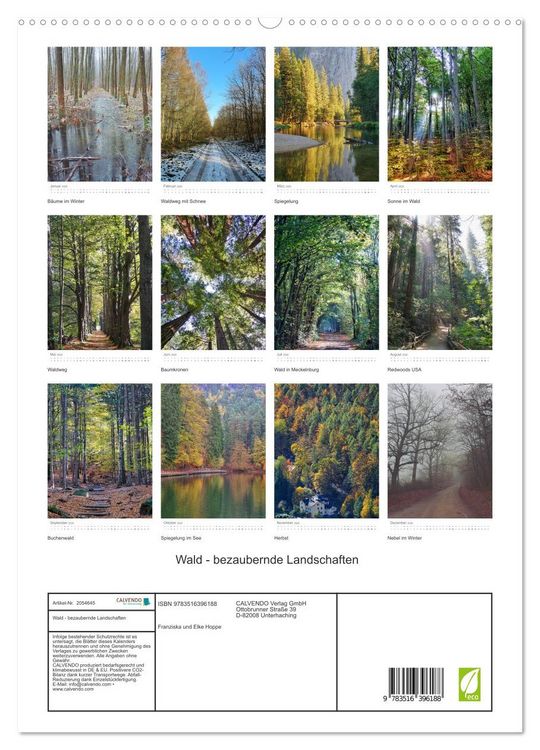 Produktbild: Wald - bezaubernde Landschaften (hochwertiger Premium Wandkalender 2026 DIN A2 hoch), Kunstdruck in Hochglanz