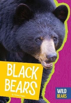 Produktbild: Black Bears