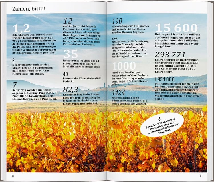 Produktbild: DUMONT direkt Reisef&uuml;hrer Elsass