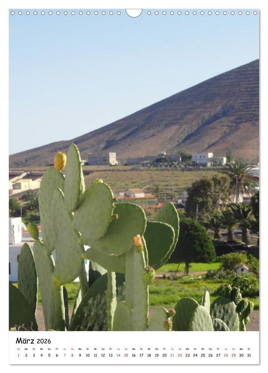 Produktbild: Fuerteventura -schlicht sch&ouml;n (Wandkalender 2026 DIN A3 hoch), CALVENDO Monatskalender