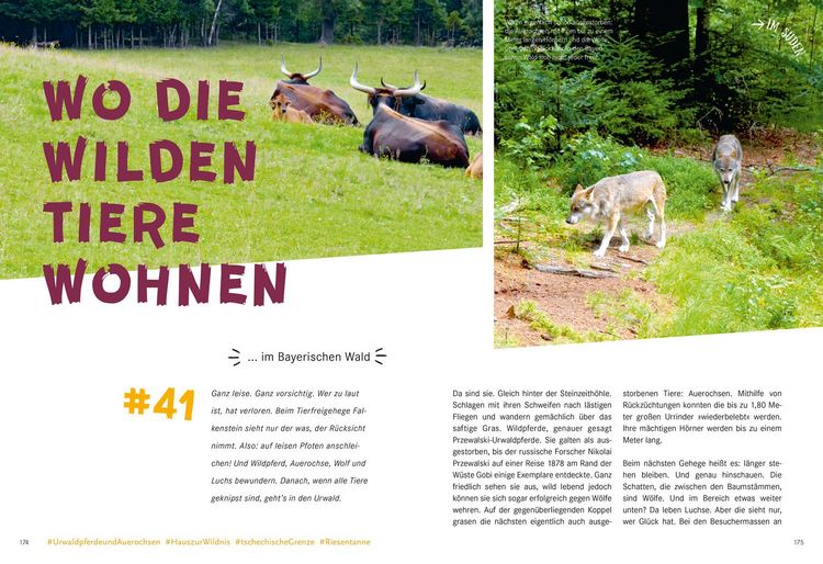 Produktbild: 52 kleine & gro&szlig;e Eskapaden in Deutschland - Jetzt ist Familienzeit