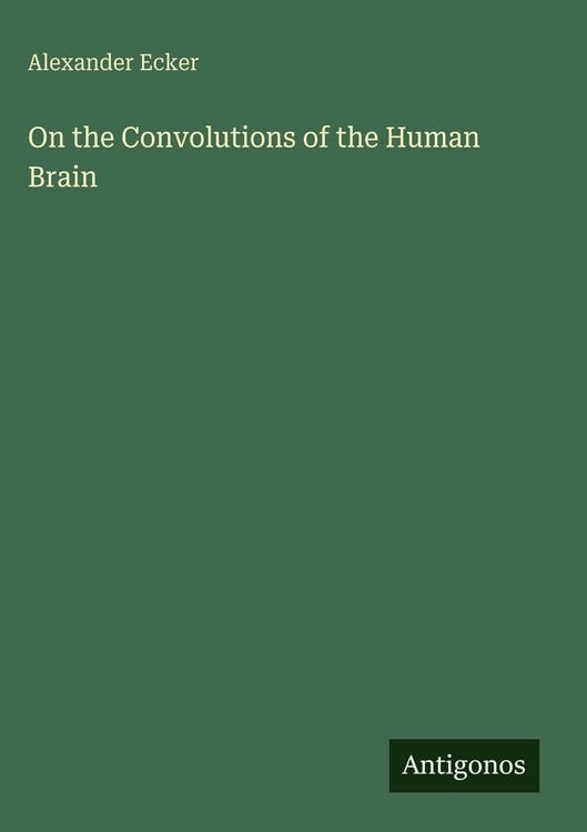 Produktbild: On the Convolutions of the Human Brain