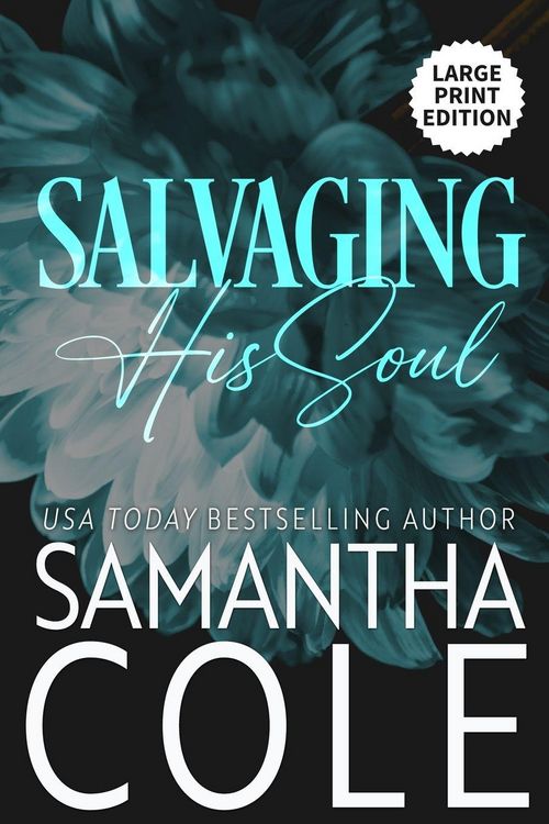 Produktbild: Salvaging His Soul