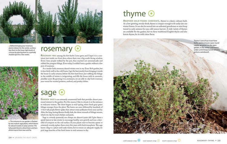 Produktbild: The Year-Round Vegetable Gardener