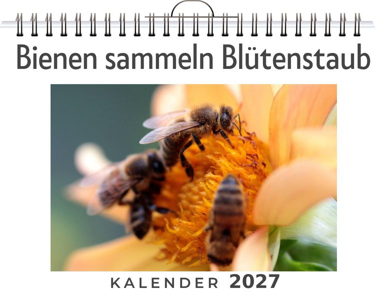 Produktbild: Bienen sammeln Bl&uuml;tenstaub