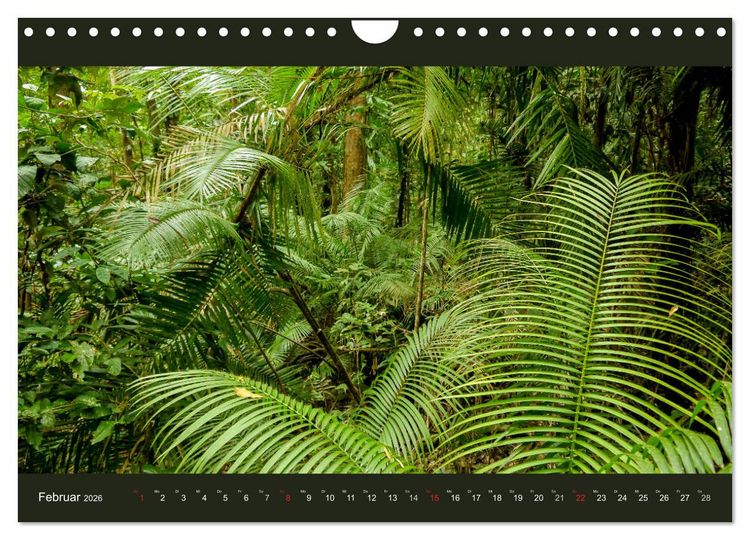 Produktbild: Australien - Farbige Vielfalt (Wandkalender 2026 DIN A4 quer), CALVENDO Monatskalender