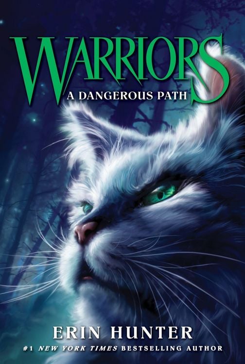 Produktbild: Warriors 05. A Dangerous Path