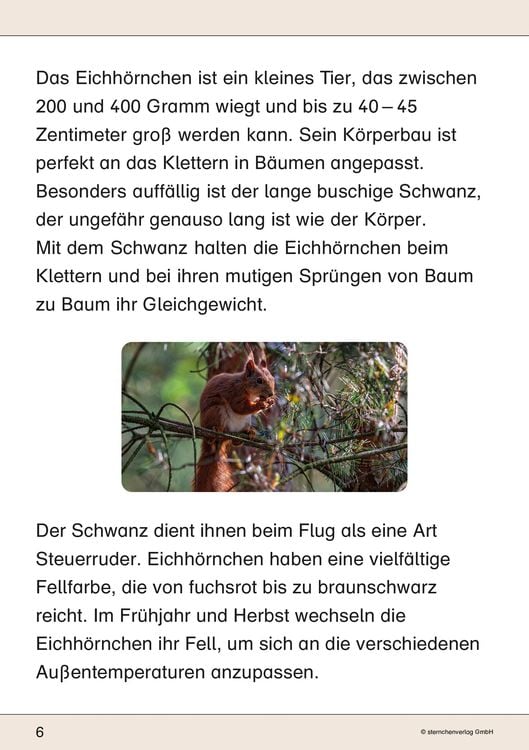 Produktbild: Ich kenne das Eichhörnchen
