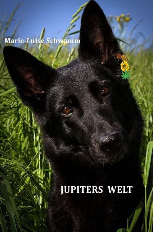 Produktbild: Jupiters Welt
