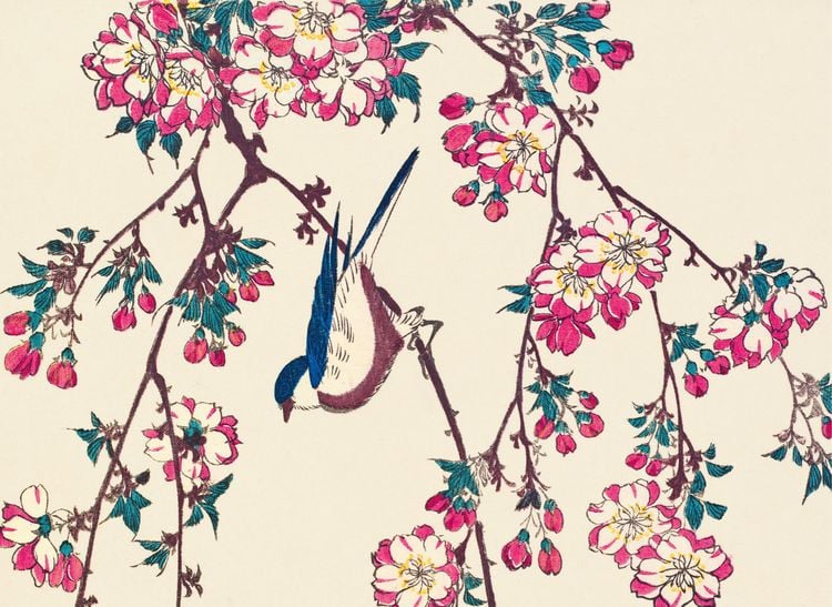 Produktbild: Eisvogel und Lotusbl&uuml;te