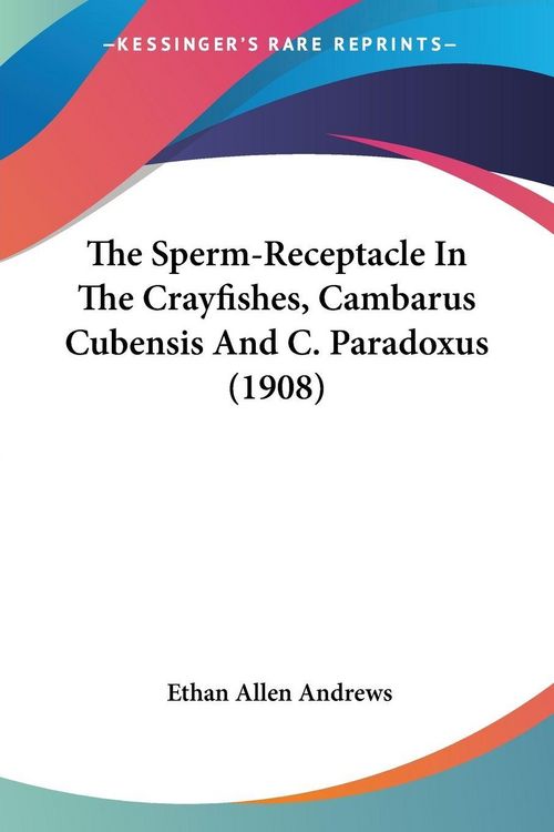 Produktbild: The Sperm-Receptacle In The Crayfishes, Cambarus Cubensis And C. Paradoxus (1908)