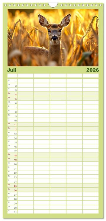 Produktbild: Familienplaner 2026 - Wilde Tierwelt im Wald mit 5 Spalten (Wandkalender, 21 x 45 cm) CALVENDO