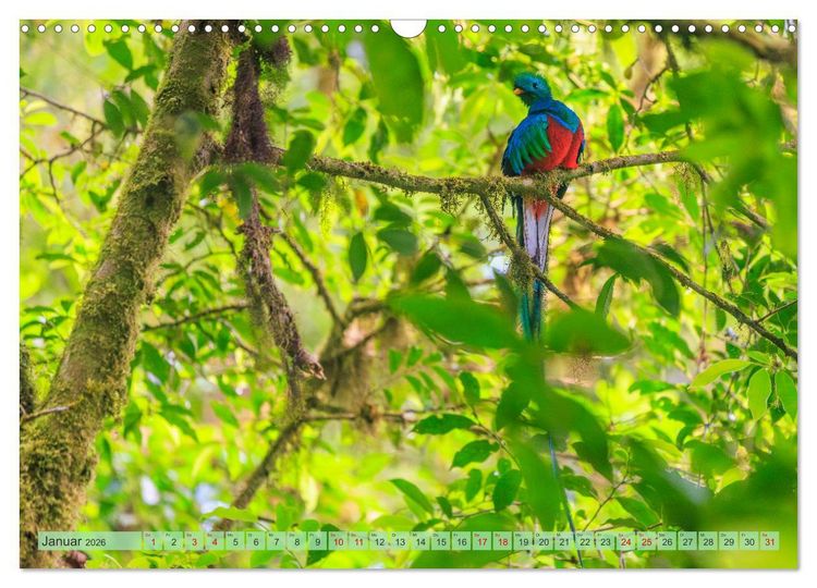 Produktbild: Tropenparadies zwischen Ozeanen Costa Rica (Wandkalender 2026 DIN A3 quer), CALVENDO Monatskalender
