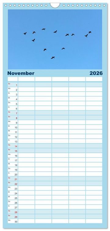 Produktbild: Familienplaner 2026 - V&ouml;gel im Flug - Akrobaten der L&uuml;fte mit 5 Spalten (Wandkalender, 21 x 45 cm) CALVENDO