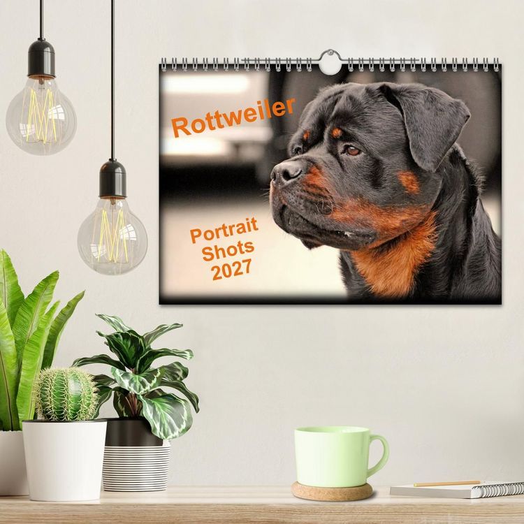 Produktbild: Rottweiler Portait Shots 2027 (Wall Calendar 2027 DIN A4 landscape), CALVENDO 12 Month Wall Calendar