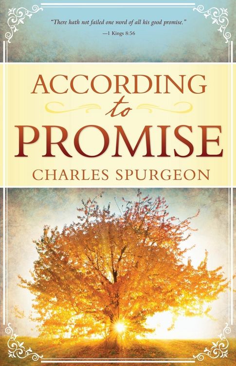 Produktbild: According to Promise