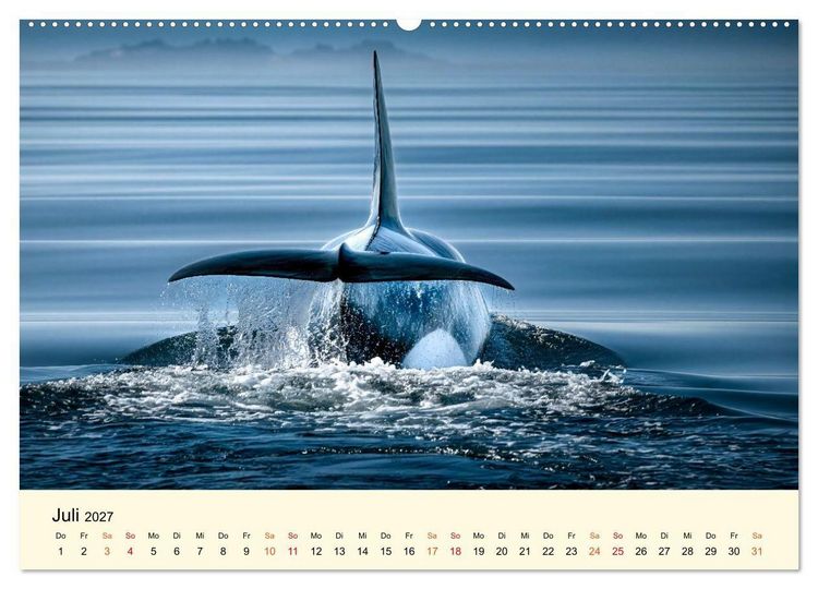 Produktbild: Orcas - Wilde Eleganz des Meeres (Wandkalender 2027 DIN A2 quer), CALVENDO Monatskalender