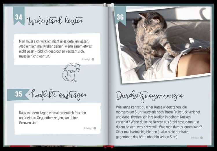 Produktbild: 100 Dinge, die man von einer Katze lernen kann