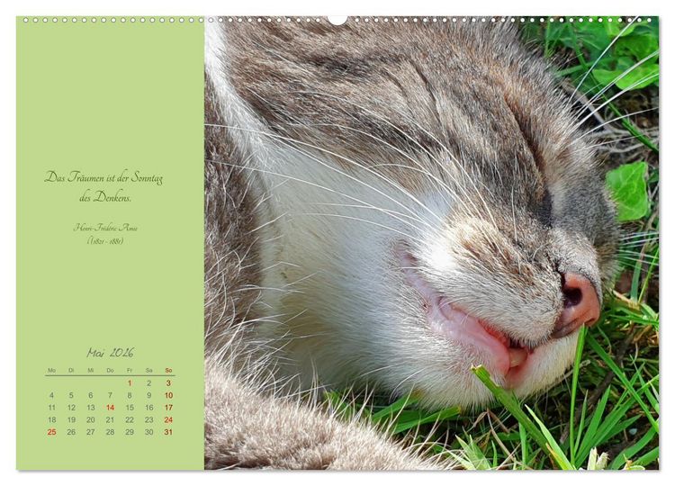 Produktbild: H&auml;ng einfach mal ab (hochwertiger Premium Wandkalender 2026 DIN A2 quer), Kunstdruck in Hochglanz