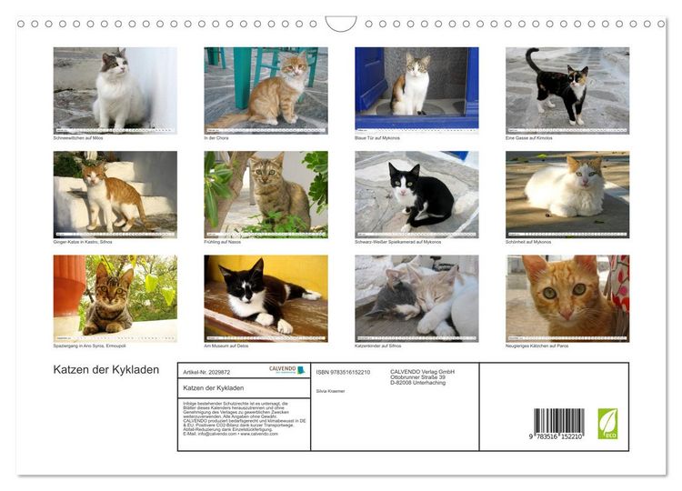 Produktbild: Katzen der Kykladen (Wandkalender 2026 DIN A3 quer), CALVENDO Monatskalender