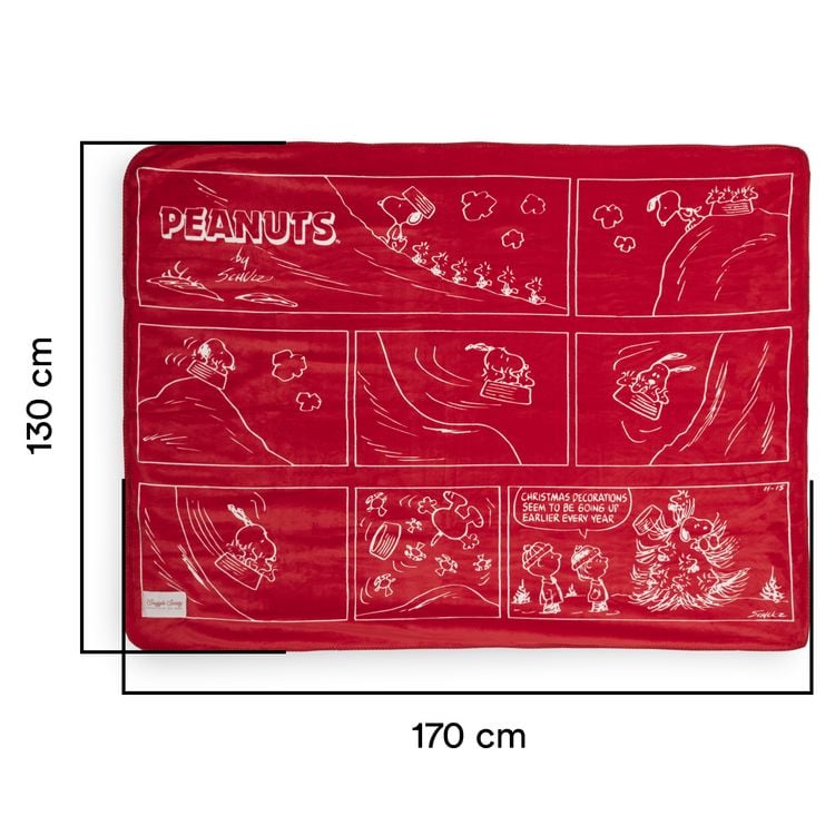 Produktbild: Decke Winter Ride, Peanuts