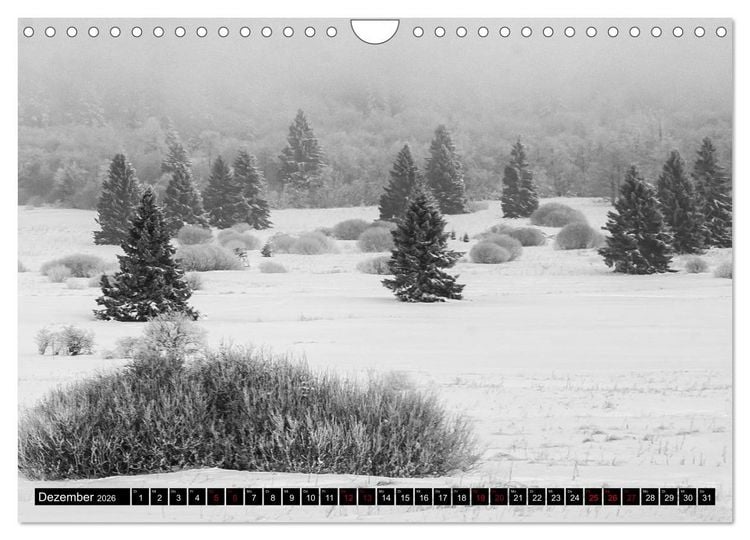 Produktbild: Die Rh&ouml;n (Wandkalender 2026 DIN A4 quer), CALVENDO Monatskalender