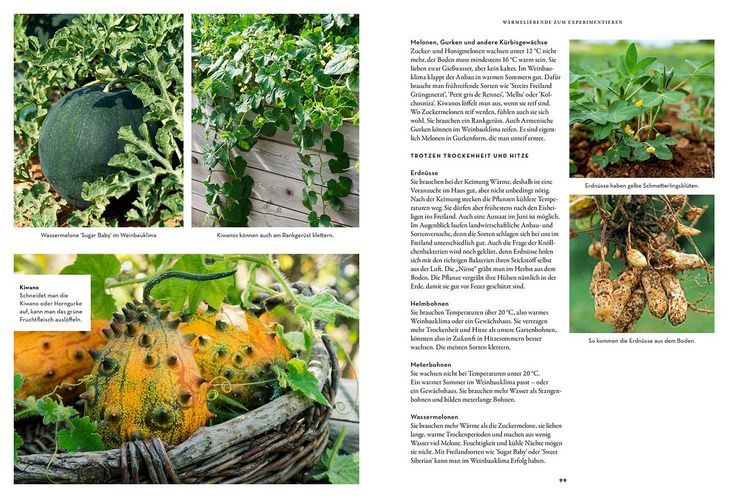 Produktbild: Trockenhelden im Gem&uuml;sebeet